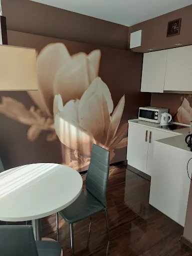 Usługi Sprzątania Gizela Dudek